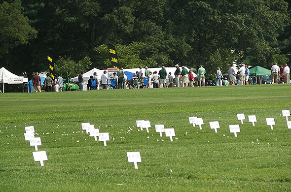 Turf plots.